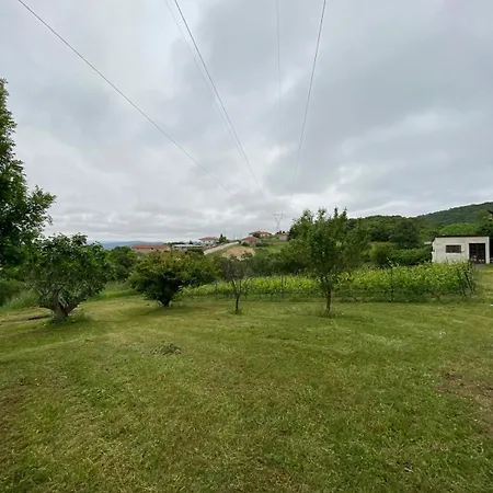 Rizospito